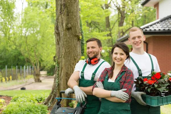 Fast & Efficient Landscaping Services in Casselberry Today