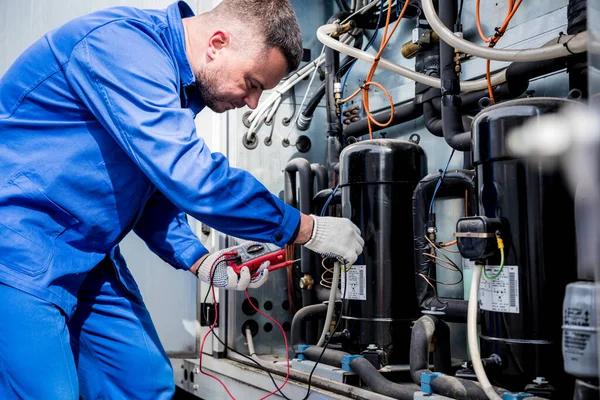 Everything You Need to Know About Commercial Refrigeration