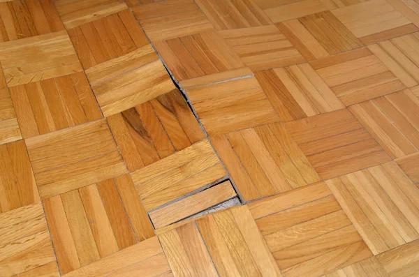 Expert Water Damage Restoration and Repair Services for Fast Recovery