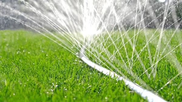Quality water mitigation services for residential properties